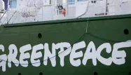 greenpeace 1280
