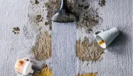 Bissel, Rowenta : découvrez les shampouineuses incontournables pour un intérieur impeccable