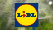 Lidl : profitez de 10% de réduction sur une sélection d'articles essentiels pour l'arrosage