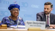 Le grand nombre de nouveaux droits de douane introduits depuis janvier a incité les économistes de l'OMC à réévaluer la situation commerciale.