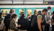 Une femme a été amendée pour avoir transporté une plante dans le métro parisien.