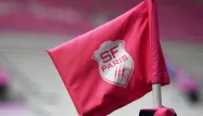 Les témoignages, qui proviennent de différentes joueuses, font état d'insultes homophobes, dénigrant la sexualité des joueuses.