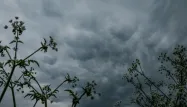 Pont de l'Ascension : quelles sont les régions concernées par l'arrivée des orages ?
