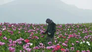 "Revenez chez vous", lance Kaboul aux Afghans indésirables aux Etats-Unis