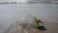 Sommet de l'Océan : à Nice, la société civile mobilisée contre la pollution plastique