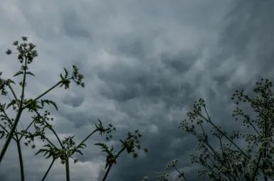 Pont de l'Ascension : quelles sont les régions concernées par l'arrivée des orages ?