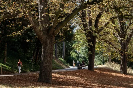 Le 13 février, le corps d'une femme de 46 ans était retrouvé démembré dans ce parc du nord-est parisien.