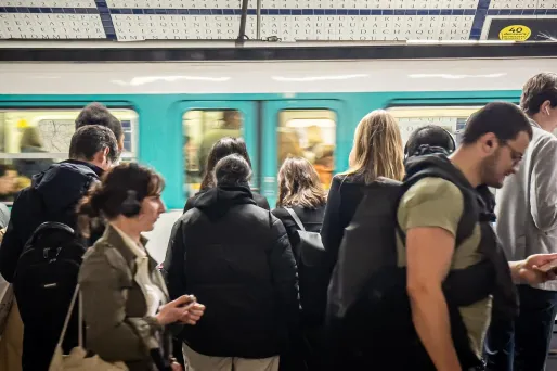Une femme a été amendée pour avoir transporté une plante dans le métro parisien.