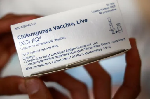 Chikungunya (Illustration).