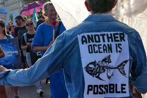 .677 espèces marines risquent de disparaître, dont un tiers des requins et plus d'un quart des cétacés.